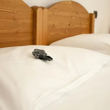 Casa Ciuca Auberge de jeunesse