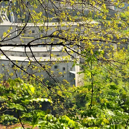 Casa Ciuca Auberge de jeunesse