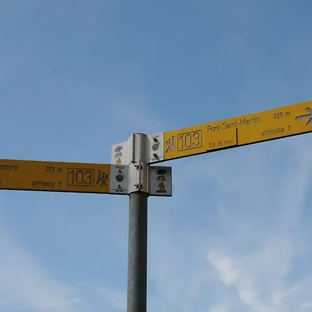 ホステル Casa Ciuca バール