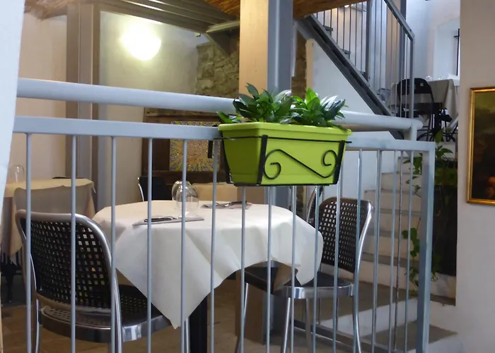 Casa Ciuca بيت شباب *