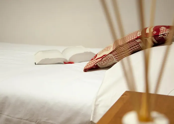 Casa Ciuca بيت شباب