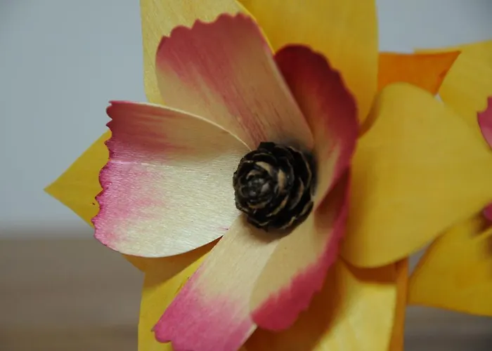 אכסניה Casa Ciuca בארד