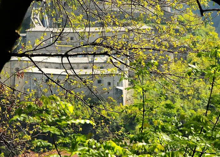 Casa Ciuca אכסניה