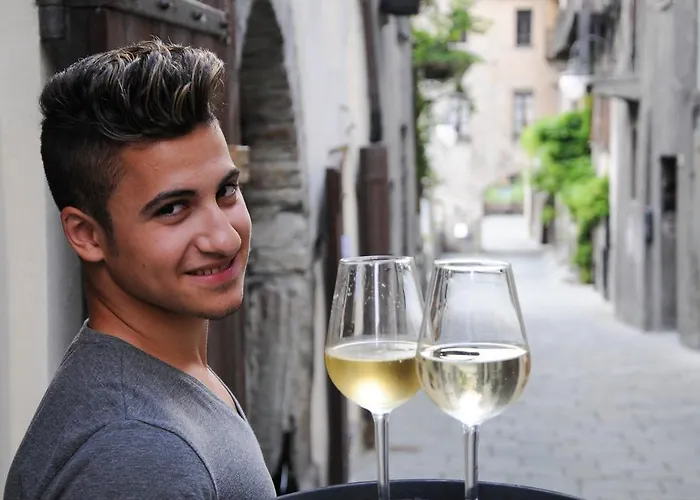 Casa Ciuca Hostel Bard