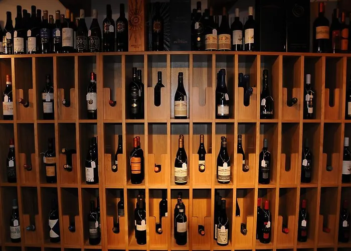 Casa Ciuca بيت شباب