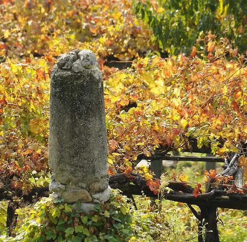 Casa Ciuca بيت شباب بارد