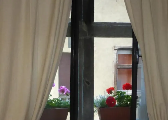 Casa Ciuca بيت شباب *